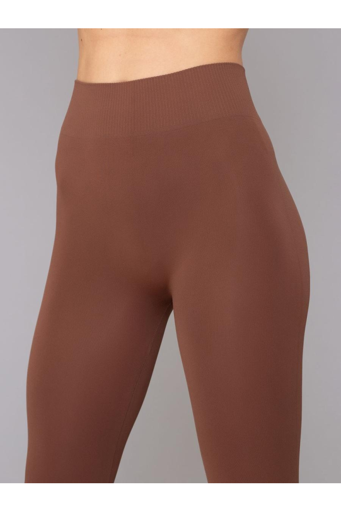 Бесшовные Классические женские лосины Giulia Leggings(2) леггинсы из микрофибры с широким поясом р. S/M - L/XL S/M, Коричневый