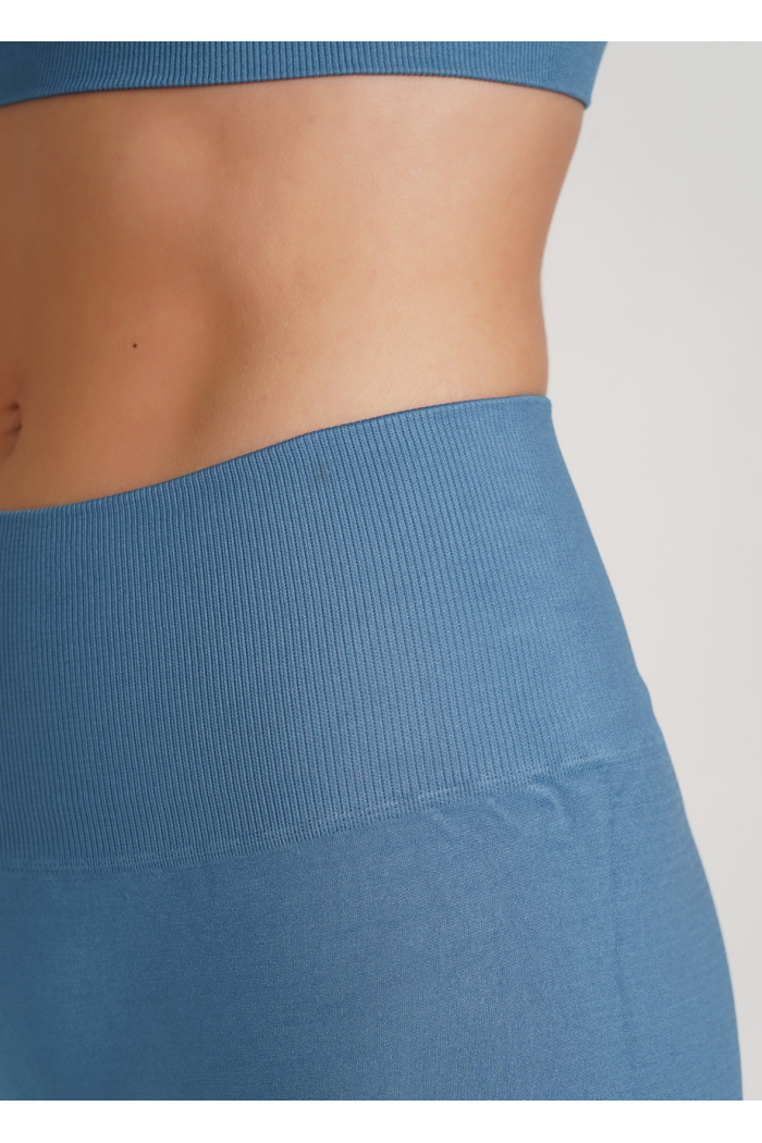 Безшовні Класичні жіночі лосини Giulia Leggings(2) легінси з мікрофібри з широким поясом р. S/M - L/XL L/XL, Блакитний