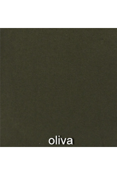 CONCORDE 60 2, Oliva